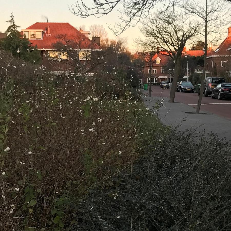 Bed and Breakfast Boutique Hide & Seek, Bed & Beach Haag Exteriér fotografie